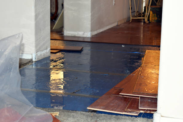 Professional Burst Pipe Cleanup technician working in Pompton Plains, NJ